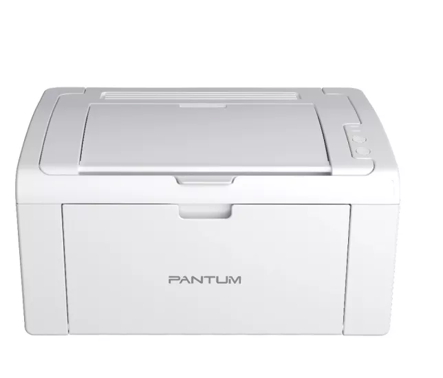 PANTUM-P2509 W